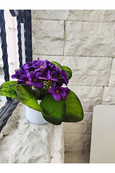 1Emekli_Lordes Profil Fotoğrafı